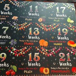 Pregnancy Weekly Baby Size Signs